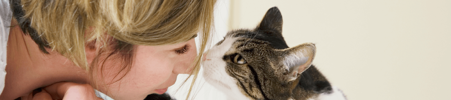 Home remedies for 2024 tick paralysis in cats